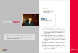 魔方企業(yè)形象設(shè)計(jì) 立體化視覺(jué)策略引領(lǐng)品牌新紀(jì)元